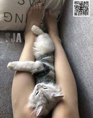 封神榜第二部免费观看星空影视