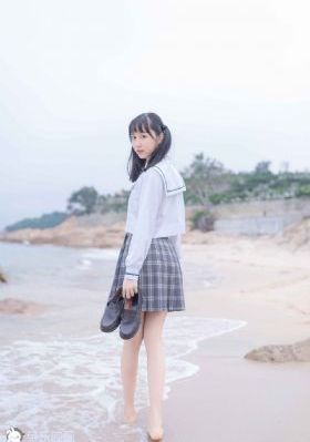 白莲花电视剧完整版免费