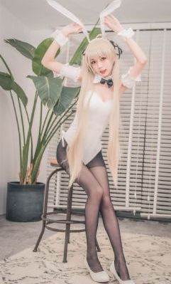 b型h系