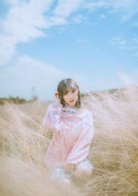 爱的二八定律 电视剧